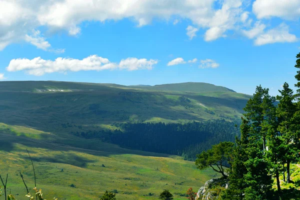 美丽的山 草地和绿色的松树 蓝天白云 夏日的风景 阳光灿烂的日子 横向的照片 高原Lago Naki Adygea — 图库照片