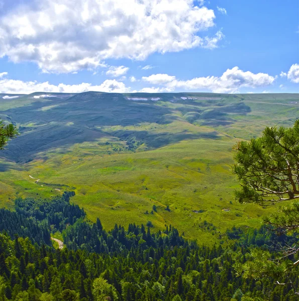 Montagnes Pittoresques Prairies Pins Verts Ciel Bleu Nuages Blancs Paysage — Photo