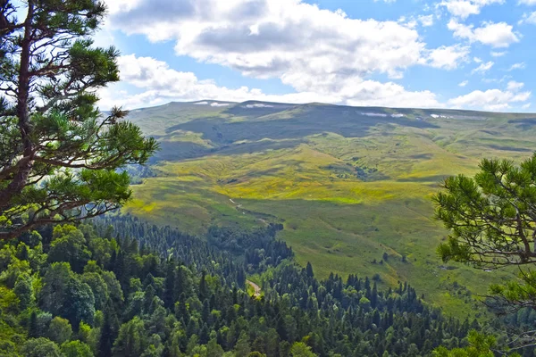 Montagnes Pittoresques Prairies Pins Verts Ciel Bleu Nuages Blancs Paysage — Photo