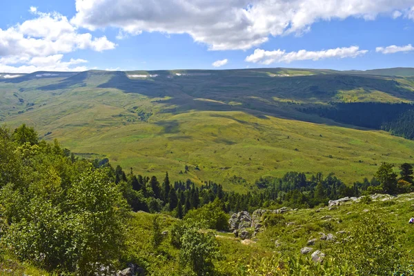 Blick Von Oben Auf Hügel Tal Nadel Und Mischwälder Bäume — Stockfoto