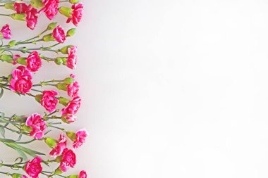 Güzel pembe karanfiller açık arkaplanda eşit olarak solda uzanıyorlar. Anneler Günü, doğum günü ya da düğün için tebrik kartı şablonu. Yatay fotoğraf.