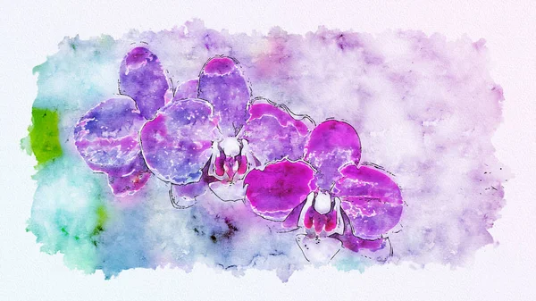 Schöne Blühende Lila Orchideenblüten Leuchtende Farbe Digitales Aquarell Stockbild