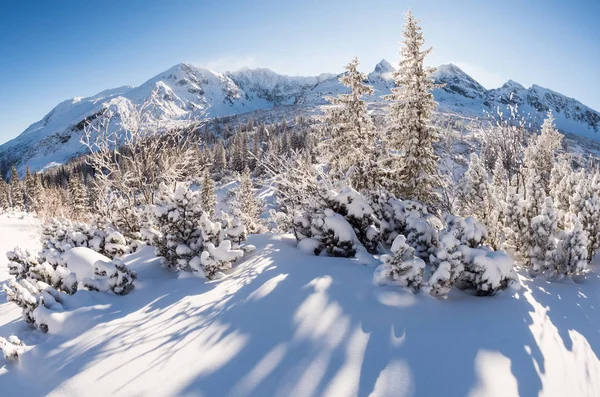 Dağlarda güneşli kış
