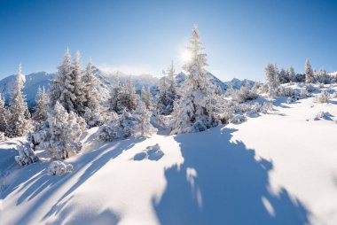 güneşli kışın dağ orman