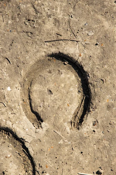 Horse trail on the ground.