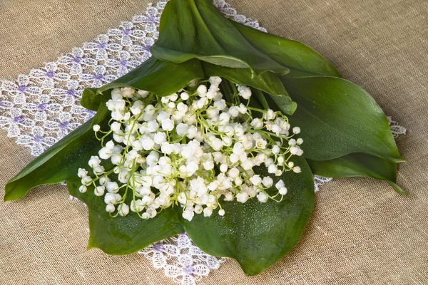 A delicate bouquet of white lilies of the valley lies on a beautiful lace napkin. Spring holiday. The purity and tenderness of natural plants. Botanical lily of the valley medicinal plant. Still life. Place for text