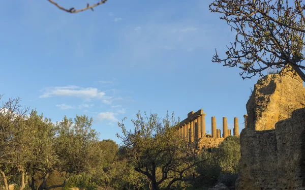 Valley of the Temples of Agrigento — Stock Photo, Image