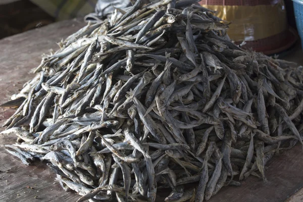 Tørket fisk til salgs på markedet – stockfoto