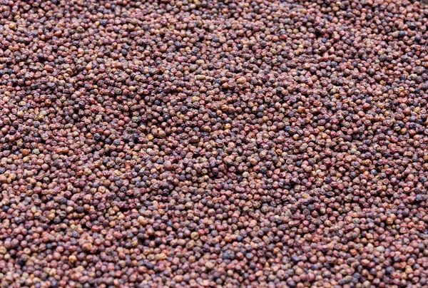 Kampot Textura de pimenta — Fotografia de Stock