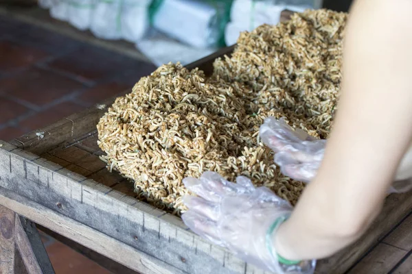 Mujer asiática hacer pastel de arroz —  Fotos de Stock