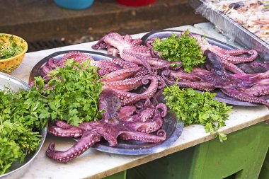 Markette maruz ahtapot 