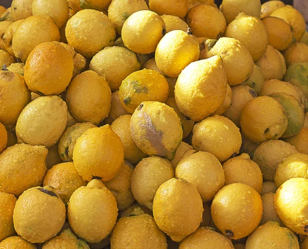 Limones amarillos de Sicilia — Foto de Stock