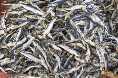 Fotoğraf geleneksel egzotik kabile Market 