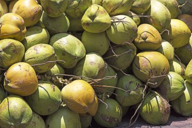 arka plan kadar yakın Hindistan cevizi