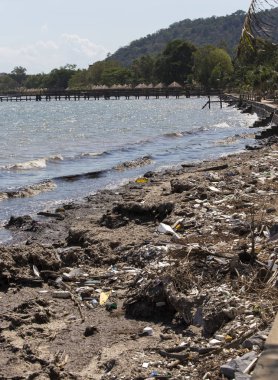 Tropikal denizin sahillerinde kirlilik