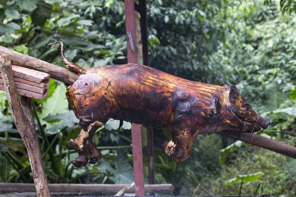 Een kleine varken wordt gebarbecued op kooltjes — Stockfoto