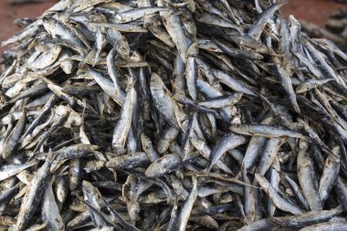 Kurutulmuş balık Flores bir piyasada