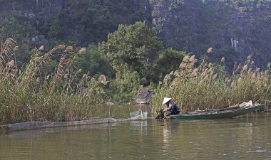Vietnamca çiftçi pirinç alan çalışır