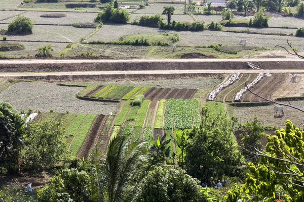 Широкая сельскохозяйственная зона в сельской местности Нин-Бин — стоковое фото