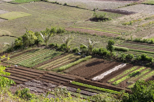 Agricultura en Vietnam del Norte —  Fotos de Stock