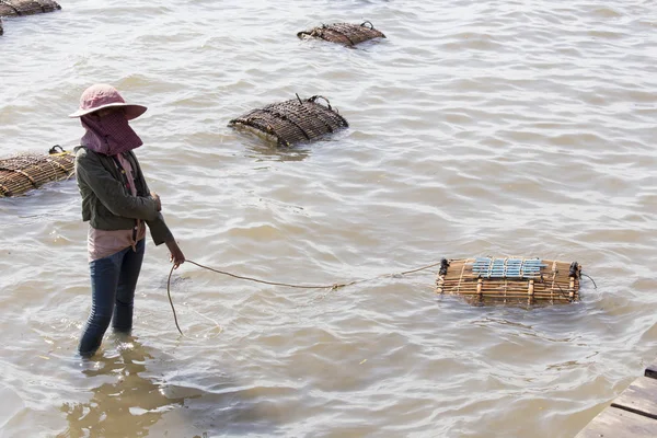 Traditionelle asiatische Fischerei — Stockfoto