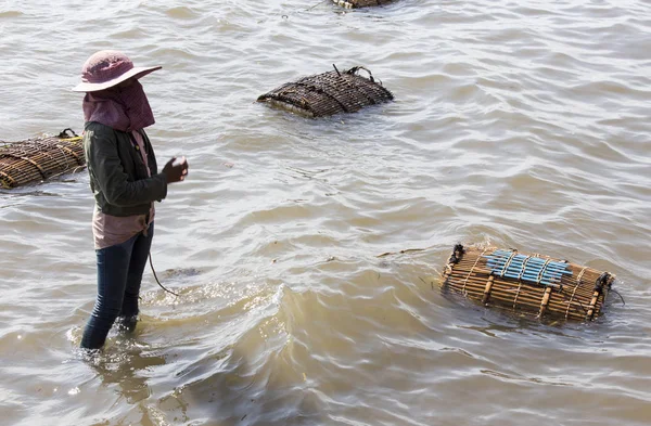 Traditionelle asiatische Fischerei — Stockfoto