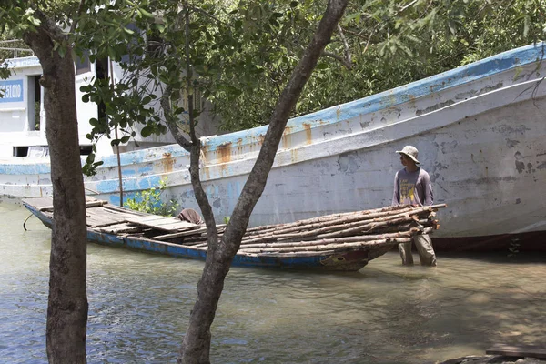 Kimliği belirsiz Vietnamca toplama odun — Stok fotoğraf