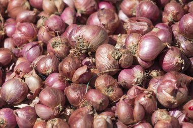 kırmızı soğan arka plan Market