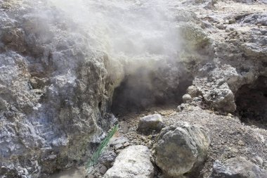 Linau gölde jeolojik faaliyetleri