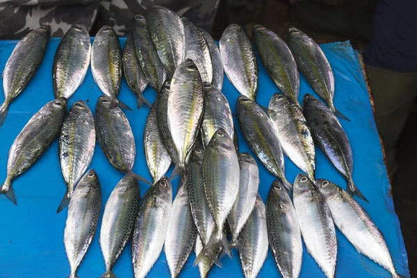 stock image Fish at market in Sulawesi
