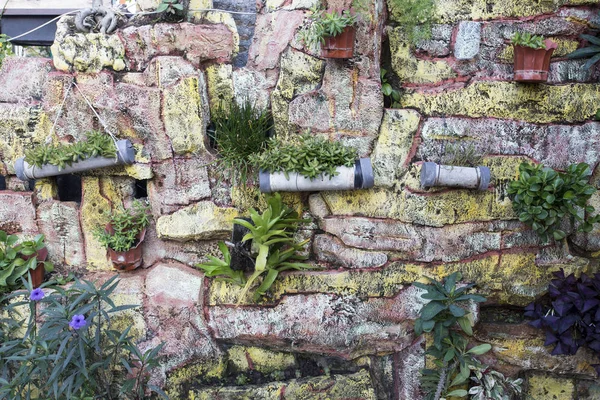 Bitkiler ile dekore edilmiş duvar — Stok fotoğraf