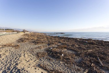 Orman ve deniz tarafından taşınan atık