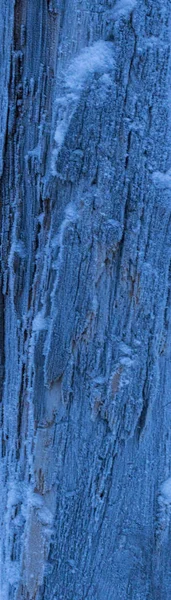 Frozen wood background — Stock Photo, Image