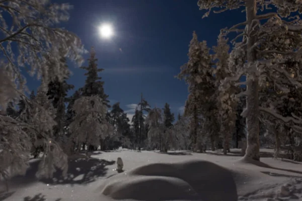 Luna llena reflejándose en la nieve —  Fotos de Stock