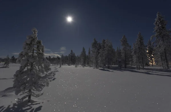 Luna llena reflejándose en la nieve —  Fotos de Stock