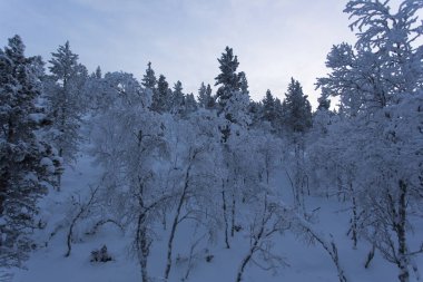 Kutup gece boyunca donmuş manzara