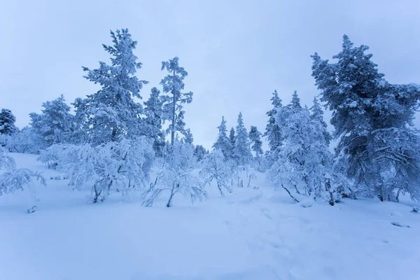 Paisaje congelado durante la noche polar —  Fotos de Stock