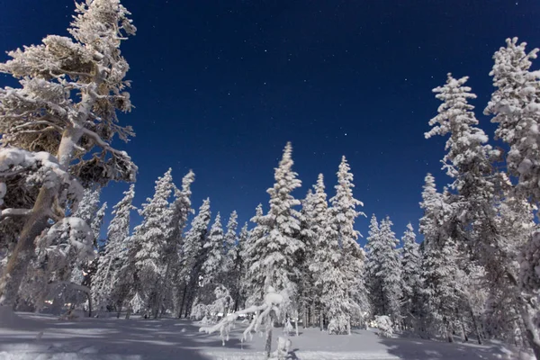 Paisaje congelado durante la noche polar —  Fotos de Stock