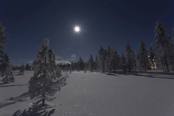 Luna llena y paisaje congelado —  Fotos de Stock
