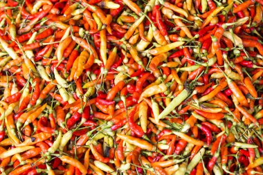 Kırmızı biber biber duvar kağıdı