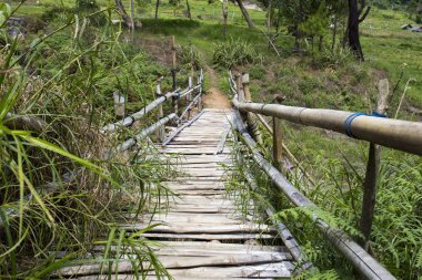 Sulawesi 'de tehlikeli köprü