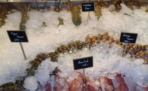 The showcase of seafood — Stock Photo, Image