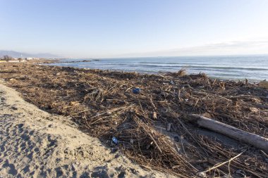 Orman ve deniz tarafından taşınan atık