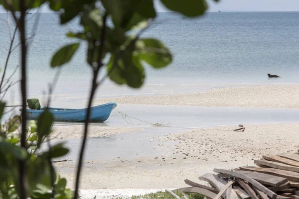 Blick auf den tropischen Strand — Stockfoto