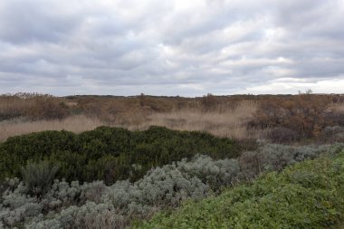 Kış boyunca Sardunya 'da bir tarla