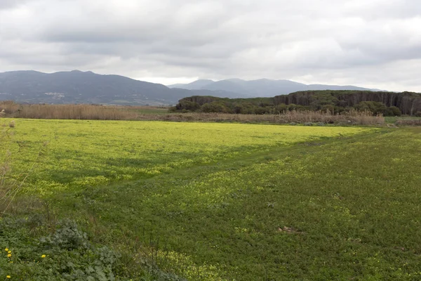 Un champ en Sardaigne pendant l'hiver — Photo