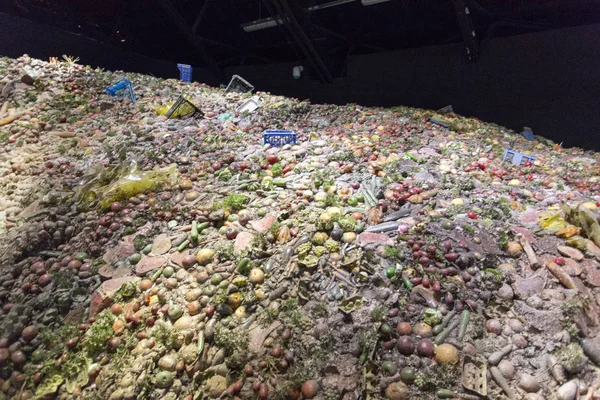 Installazione all'interno del padiglione Zero a Expo, esposizione universale — Foto Stock