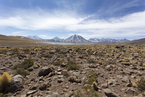 Güzel bir laguna altiplanika manzarası. — Stok fotoğraf