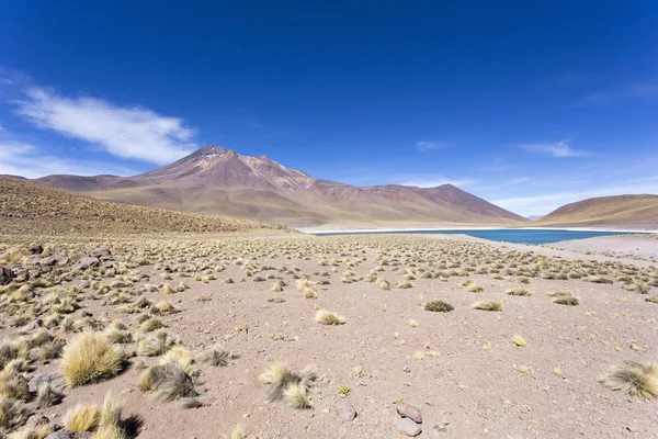 Güzel bir laguna altiplanika manzarası. — Stok fotoğraf