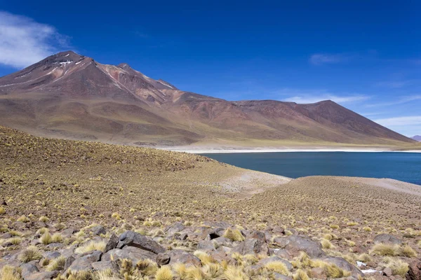 Güzel bir laguna altiplanika manzarası. — Stok fotoğraf